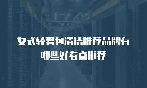 女式轻奢包清洁推荐品牌有哪些好看点推荐