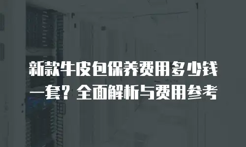 新款牛皮包保养费用多少钱一套？全面解析与费用参考