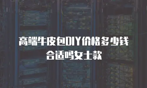 高端牛皮包DIY价格多少钱合适吗女士款
