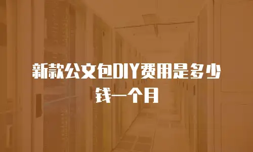 新款公文包DIY费用是多少钱一个月