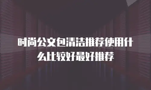 时尚公文包清洁推荐使用什么比较好最好推荐