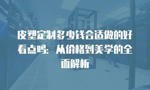皮塑定制多少钱合适做的好看点吗：从价格到美学的全面解析