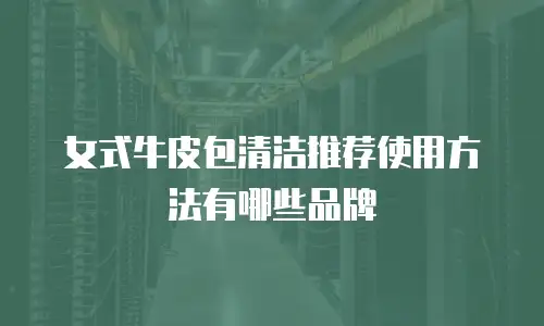 女式牛皮包清洁推荐使用方法有哪些品牌