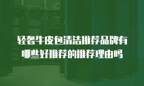 轻奢牛皮包清洁推荐品牌有哪些好推荐的推荐理由吗