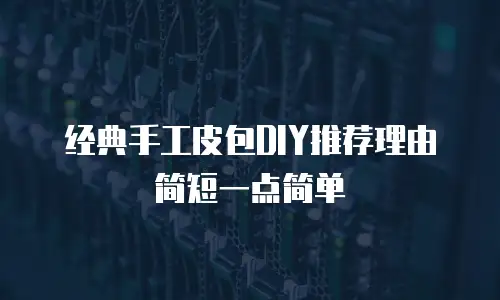 经典手工皮包DIY推荐理由简短一点简单