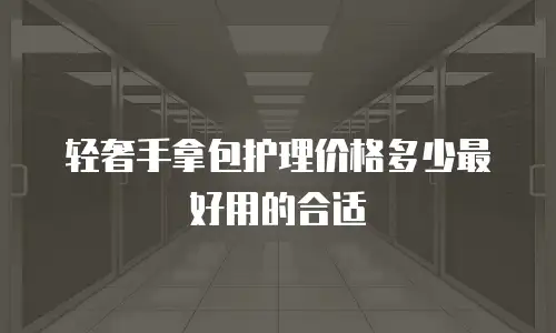 轻奢手拿包护理价格多少最好用的合适
