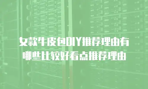女款牛皮包DIY推荐理由有哪些比较好看点推荐理由