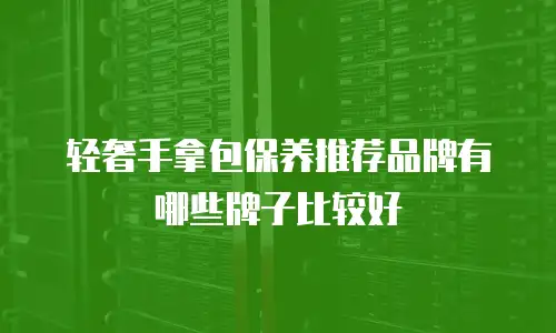 轻奢手拿包保养推荐品牌有哪些牌子比较好