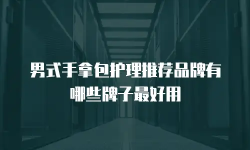 男式手拿包护理推荐品牌有哪些牌子最好用