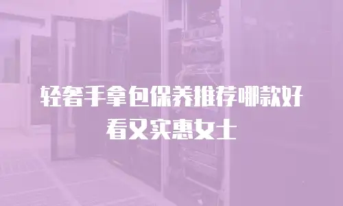 轻奢手拿包保养推荐哪款好看又实惠女士