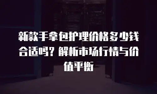 新款手拿包护理价格多少钱合适吗？解析市场行情与价值平衡