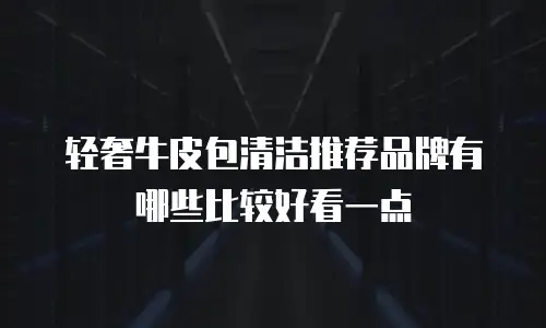 轻奢牛皮包清洁推荐品牌有哪些比较好看一点