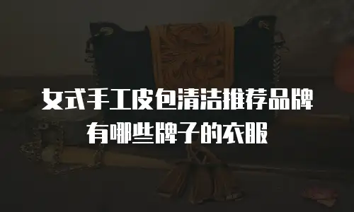 女式手工皮包清洁推荐品牌有哪些牌子的衣服