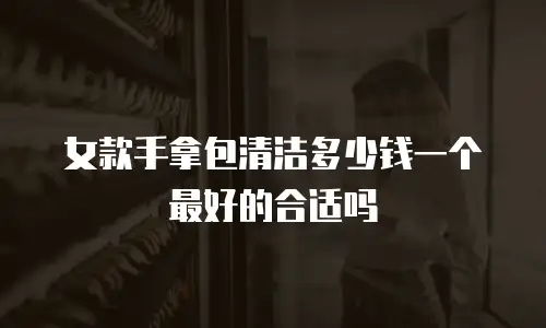 女款手拿包清洁多少钱一个最好的合适吗