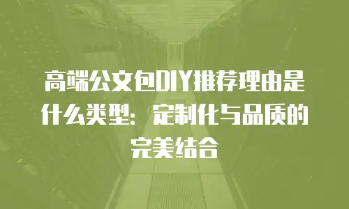 高端公文包DIY推荐理由是什么类型：定制化与品质的完美结合
