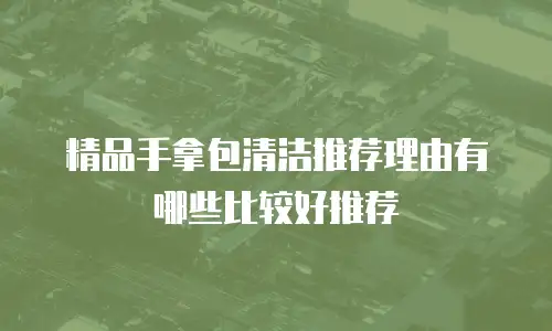 精品手拿包清洁推荐理由有哪些比较好推荐