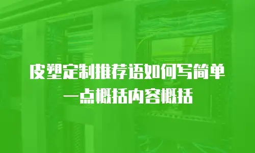 皮塑定制推荐语如何写简单一点概括内容概括