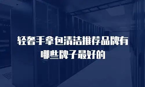 轻奢手拿包清洁推荐品牌有哪些牌子最好的