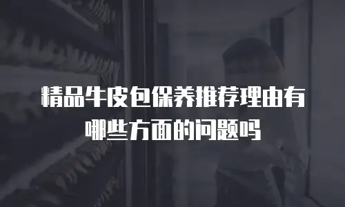 精品牛皮包保养推荐理由有哪些方面的问题吗