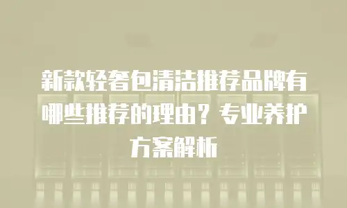 新款轻奢包清洁推荐品牌有哪些推荐的理由？专业养护方案解析