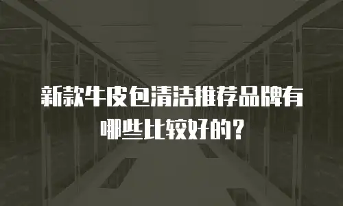 新款牛皮包清洁推荐品牌有哪些比较好的？