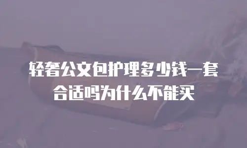 轻奢公文包护理多少钱一套合适吗为什么不能买