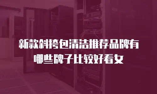 新款斜挎包清洁推荐品牌有哪些牌子比较好看女