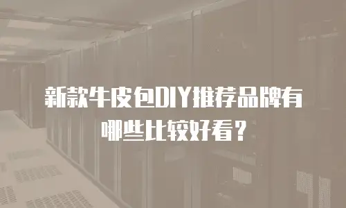 新款牛皮包DIY推荐品牌有哪些比较好看？