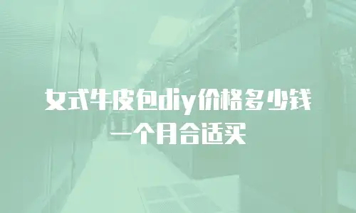 女式牛皮包diy价格多少钱一个月合适买