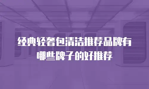 经典轻奢包清洁推荐品牌有哪些牌子的好推荐