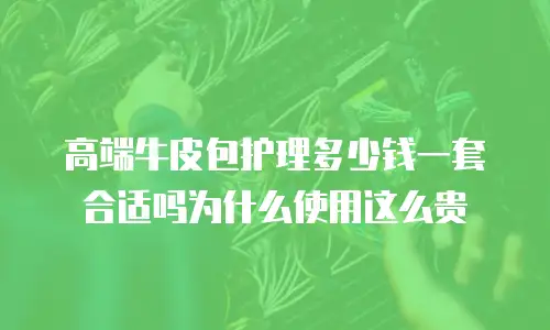 高端牛皮包护理多少钱一套合适吗为什么使用这么贵