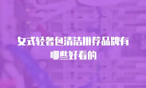 女式轻奢包清洁推荐品牌有哪些好看的