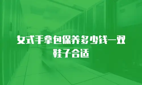 女式手拿包保养多少钱一双鞋子合适