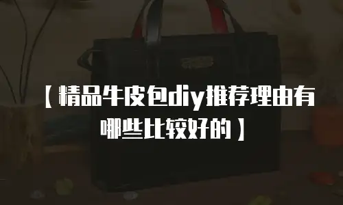 【精品牛皮包diy推荐理由有哪些比较好的】