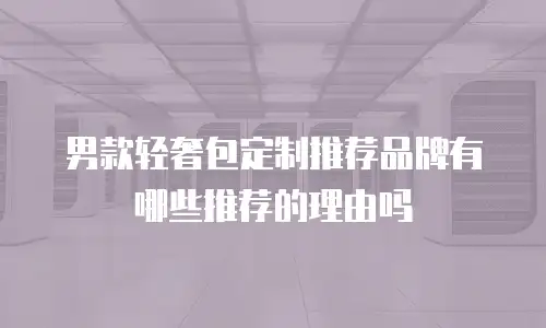 男款轻奢包定制推荐品牌有哪些推荐的理由吗