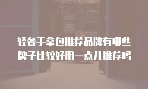 轻奢手拿包推荐品牌有哪些牌子比较好用一点儿推荐吗
