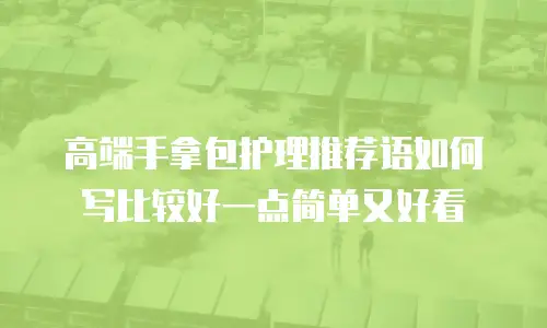 高端手拿包护理推荐语如何写比较好一点简单又好看