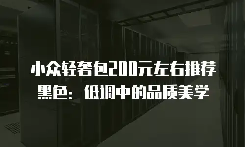 小众轻奢包200元左右推荐黑色：低调中的品质美学