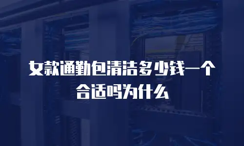 女款通勤包清洁多少钱一个合适吗为什么