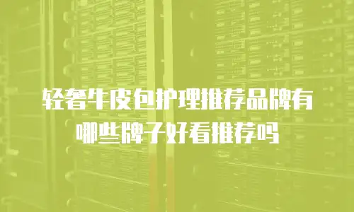 轻奢牛皮包护理推荐品牌有哪些牌子好看推荐吗