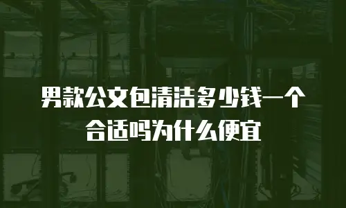 男款公文包清洁多少钱一个合适吗为什么便宜