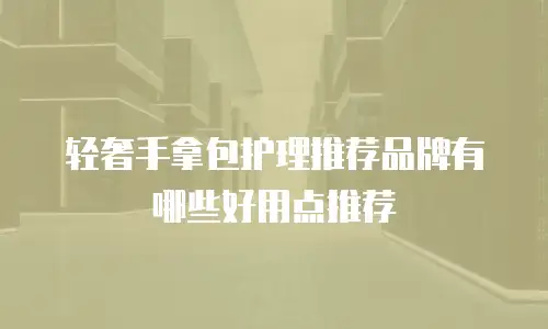轻奢手拿包护理推荐品牌有哪些好用点推荐