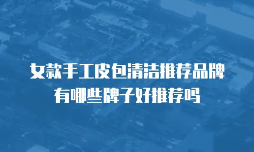 女款手工皮包清洁推荐品牌有哪些牌子好推荐吗