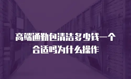 高端通勤包清洁多少钱一个合适吗为什么操作