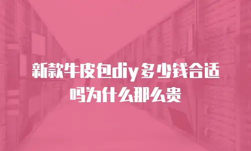新款牛皮包diy多少钱合适吗为什么那么贵