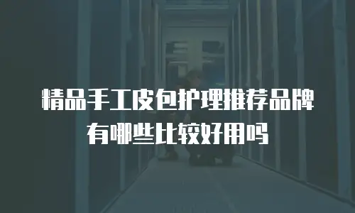 精品手工皮包护理推荐品牌有哪些比较好用吗