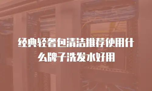 经典轻奢包清洁推荐使用什么牌子洗发水好用