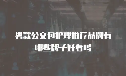 男款公文包护理推荐品牌有哪些牌子好看吗
