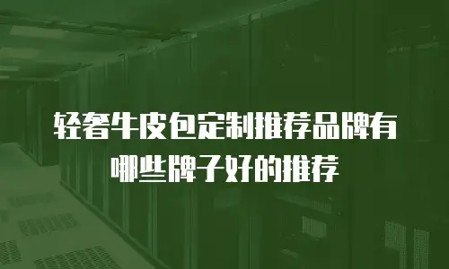 轻奢牛皮包定制推荐品牌有哪些牌子好的推荐