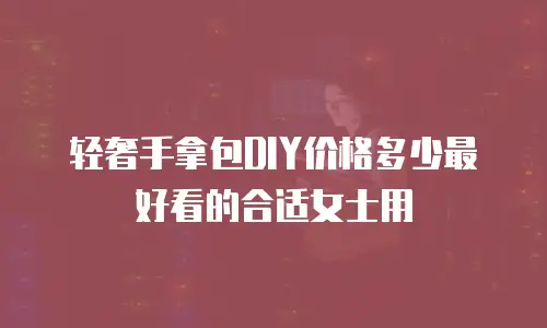 轻奢手拿包DIY价格多少最好看的合适女士用
